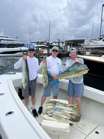 Mahi (dolphin fish) are heating up! 