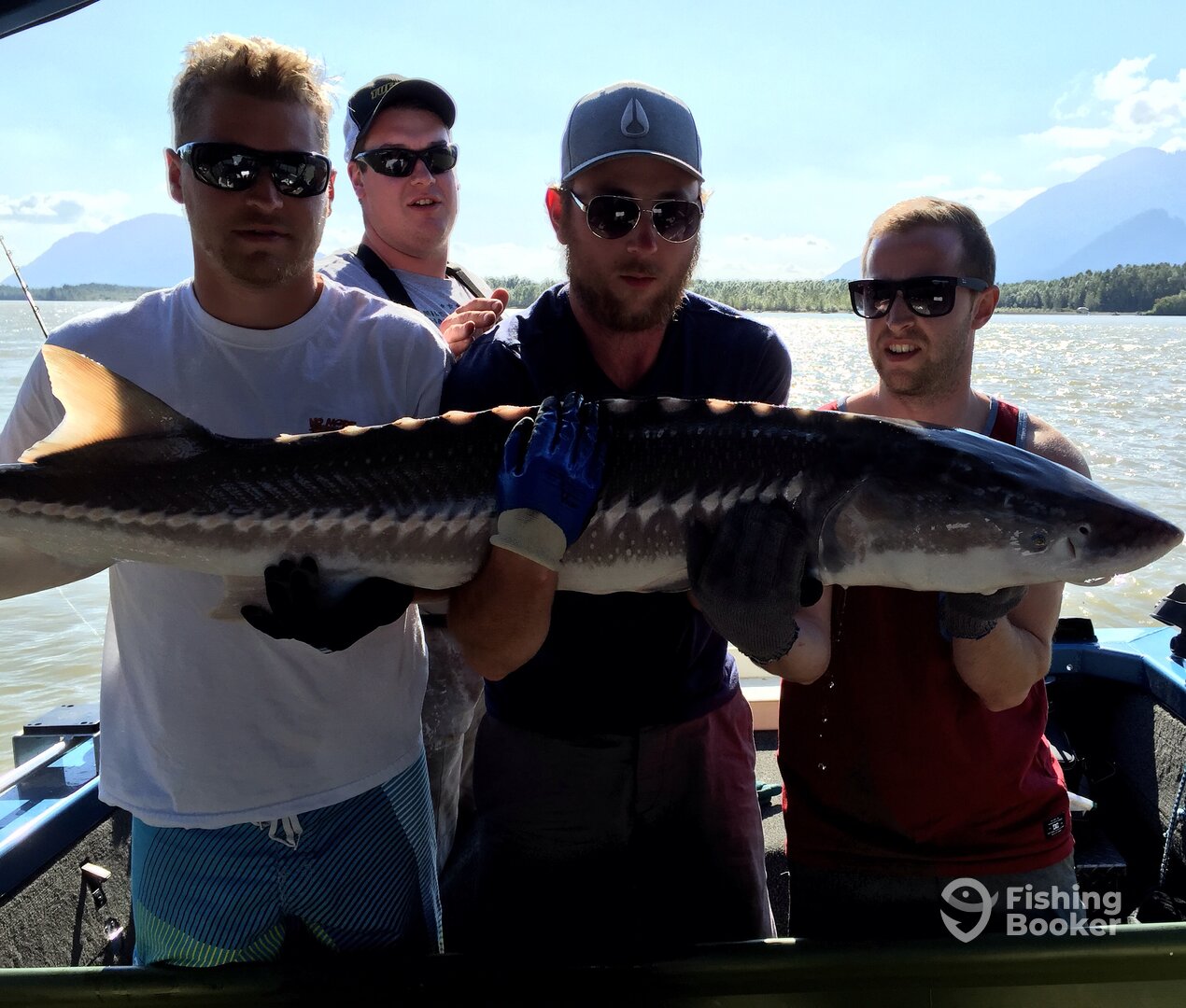 Chilliwack Report Photo 0
