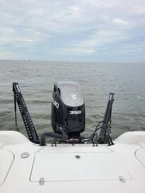 St. Bernard Report Photo 1