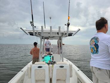 St. Bernard Report Photo 2