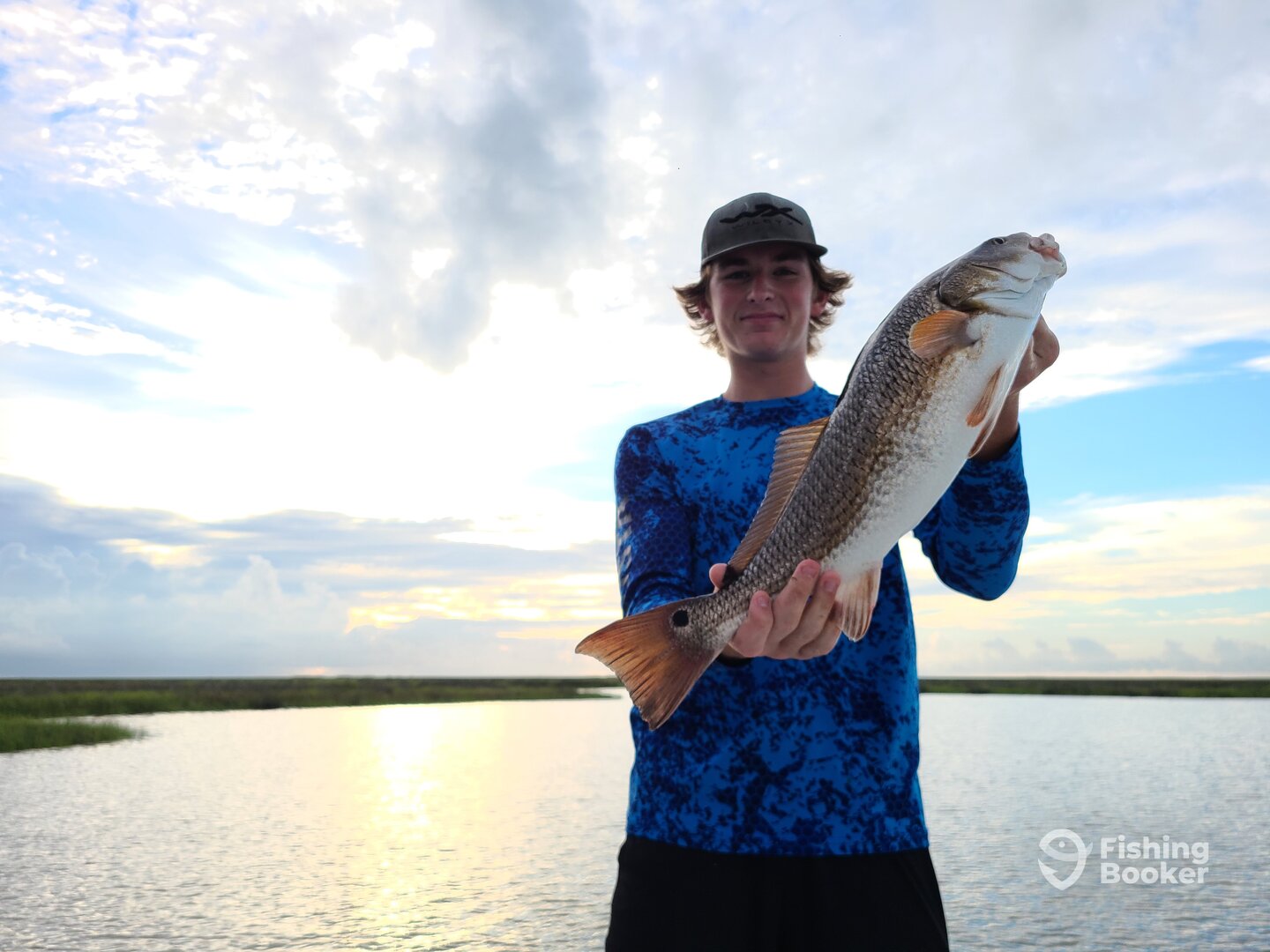 St. Bernard Report Photo 0