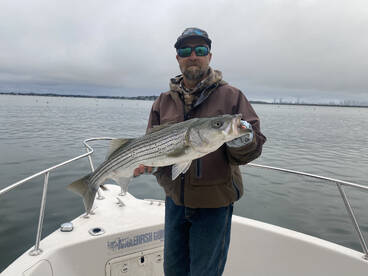 Quincy Report Photo 2