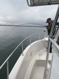 Light tackle bonanza season has started!