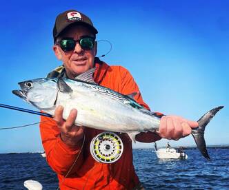 Albie bite continues!