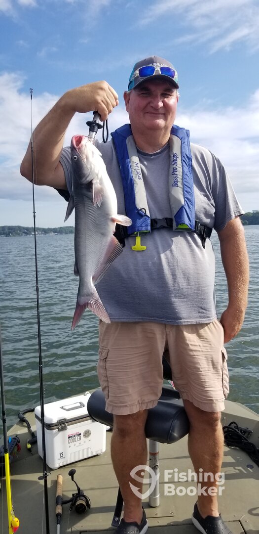 A nice blue catfish