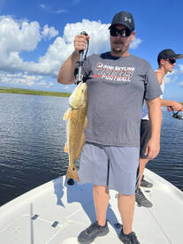 St. Bernard Report Photo 2