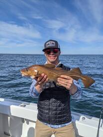 cod season is open