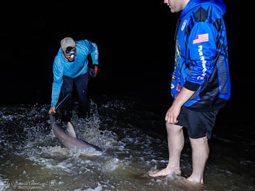 Villas Report Photo 1