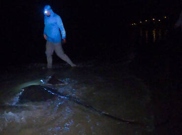 The Stuckes went to battle!