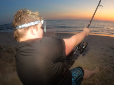 Too many fish to count...