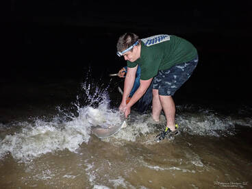 Villas Report Photo 4