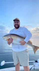 Giant red drum