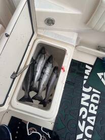 Seattle Report Photo 2