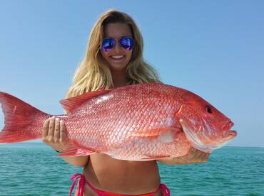 Red Snapper Fall Season Starts 9/2!!!