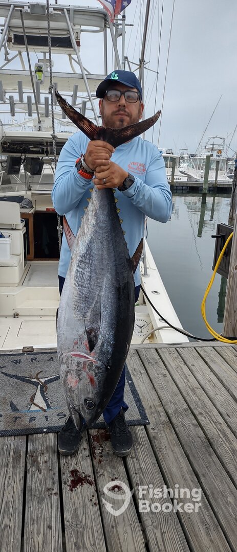 Montauk Report Photo 0