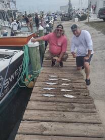 Wanchese Report Photo 2