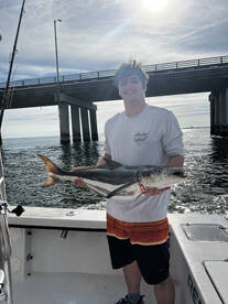Virginia Beach Report Photo 2