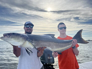 Virginia Beach Report Photo 1
