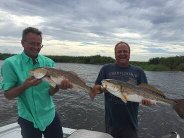 Barataria Report Photo 1