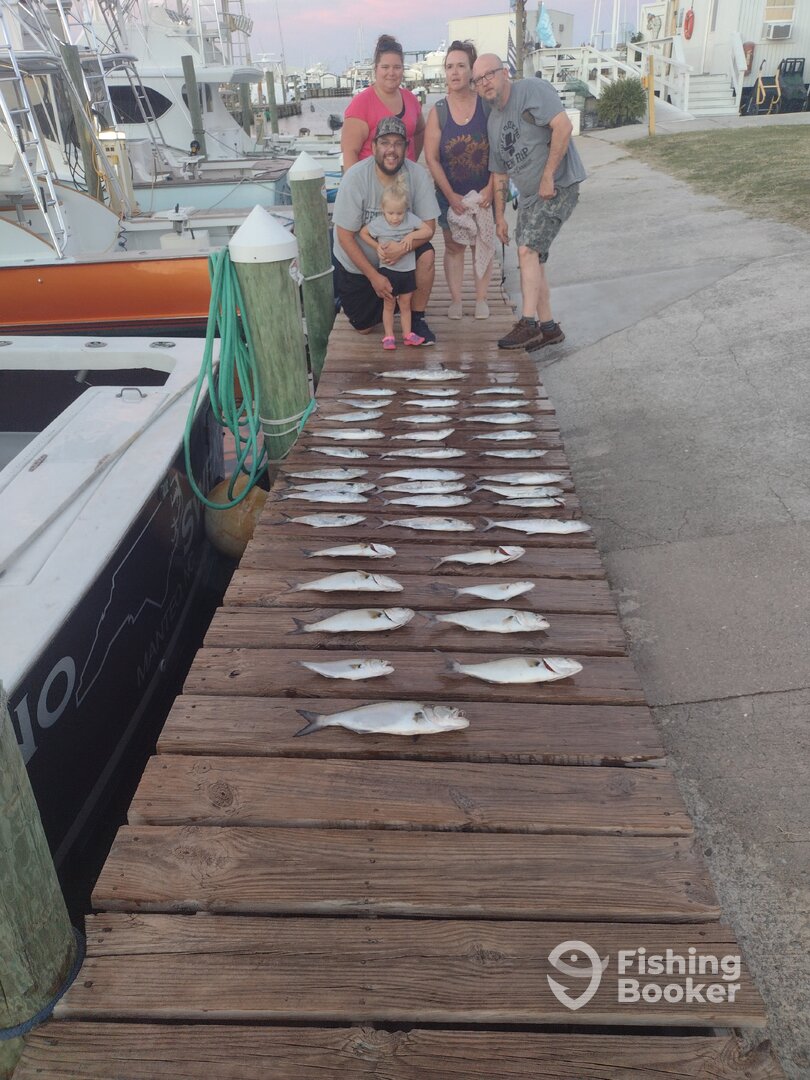 Wanchese Report Photo 0