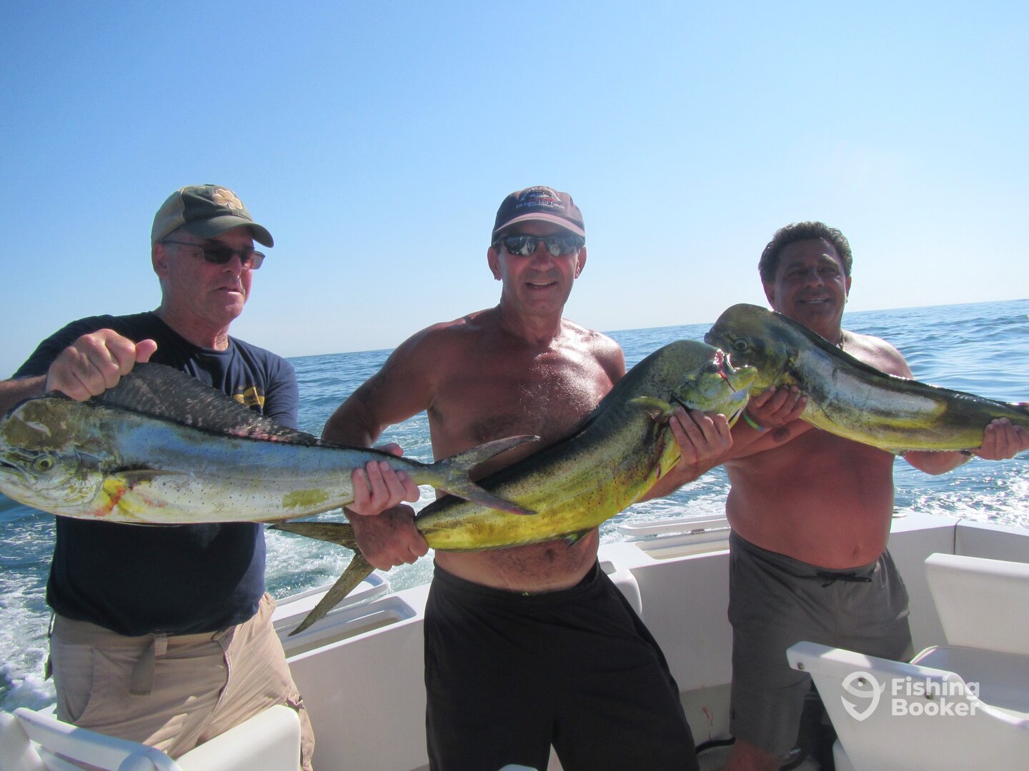 Cabo San Lucas Report Photo 0