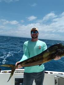 Puerto Vallarta Report Photo 1