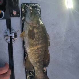 Dayton Report Photo 3