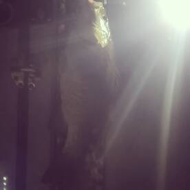 Dayton Report Photo 4