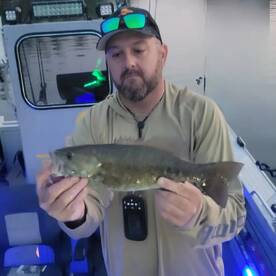 Dayton Report Photo 1