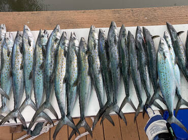 Spanish ALong the Beach