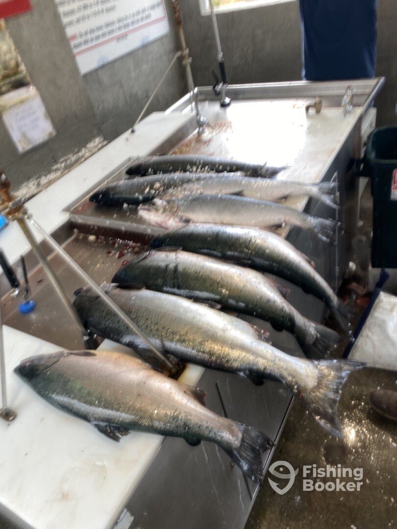 Winchester Bay Report Photo 0