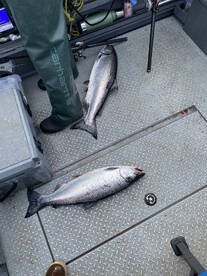 Winchester Bay Report Photo 2
