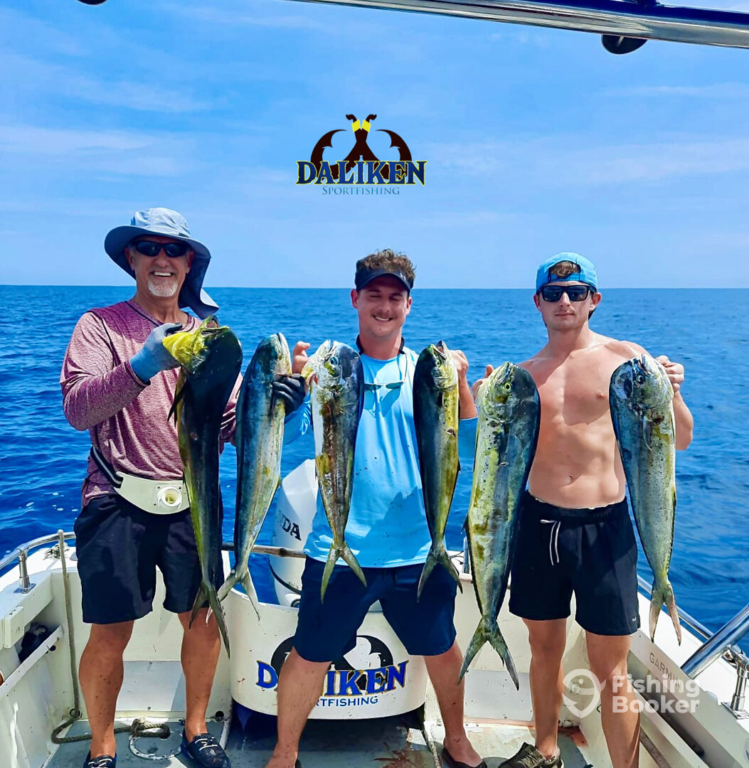 San Jose del Cabo Report Photo 0