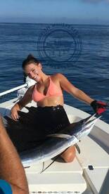 Sails, Kings, & Cobia