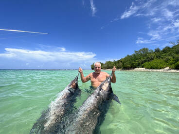 Caught these two beauties on SundaySepte