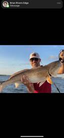 Bull red season is starting! 