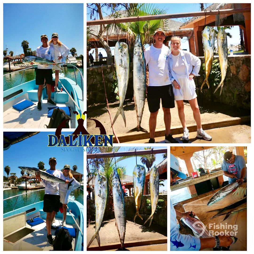 San Jose del Cabo Report Photo 0