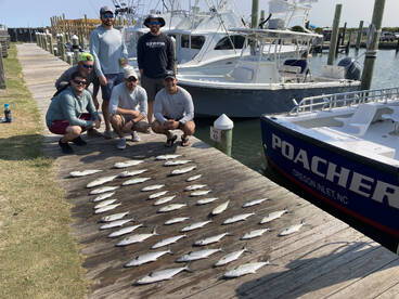 Nags Head Report Photo 1