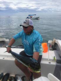 Mahi are in the Bay