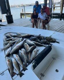 Venice Report Photo 2