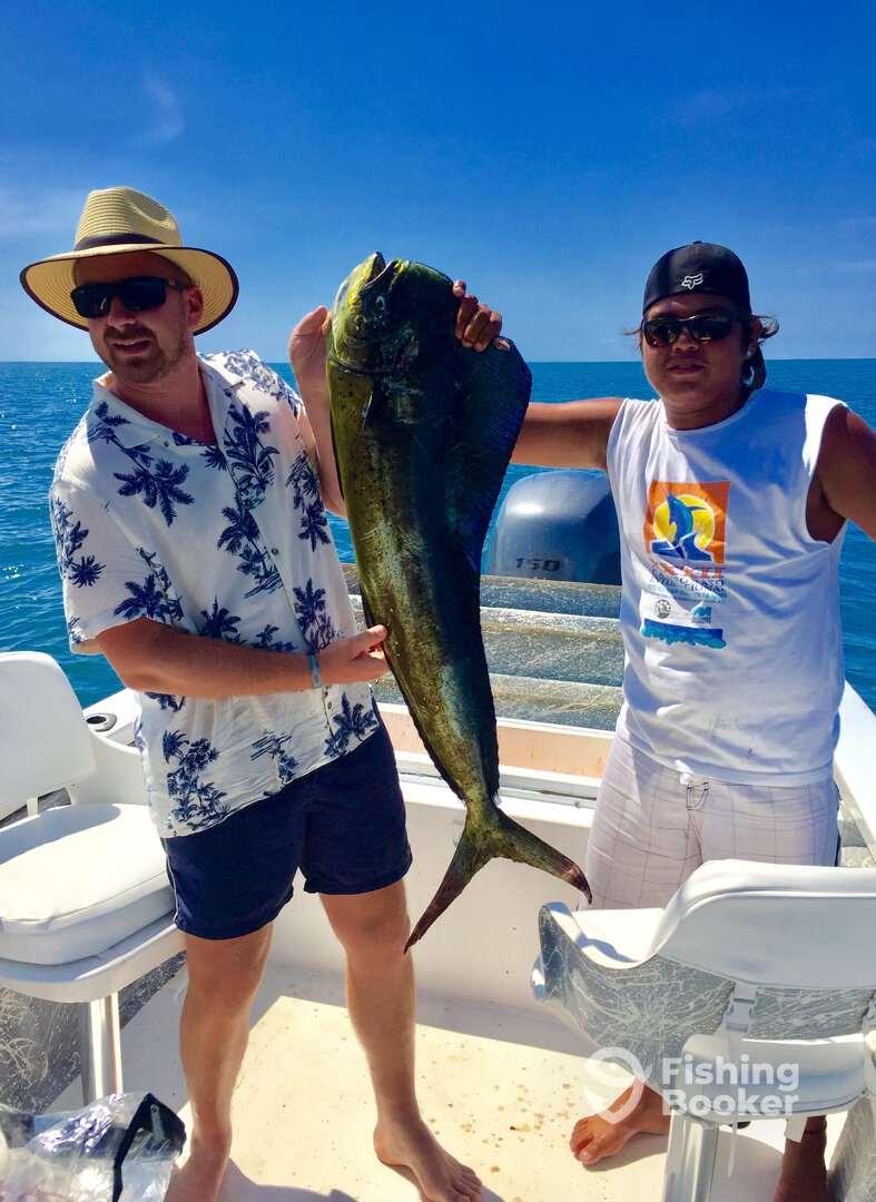 Puerto Vallarta Report Photo 0