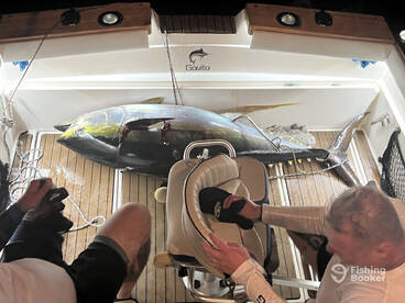 Calheta Report Photo 1