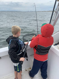 New York City Report Photo 1