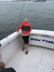 New York City Report Photo 2