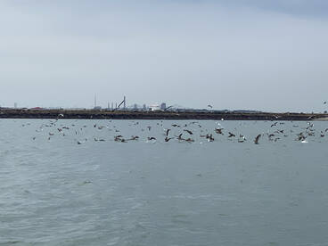 Quincy Report Photo 2