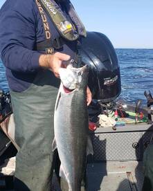 Winchester Bay Report Photo 1