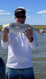 Savannah Report Photo 2