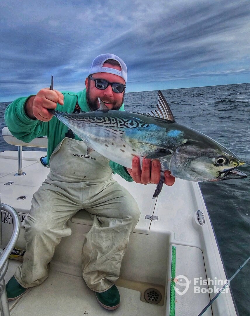 Milford Report Photo 0