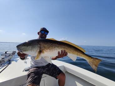 The Fall fishing has arrived!