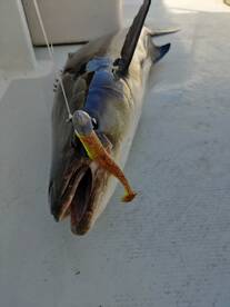 Dameron Report Photo 1